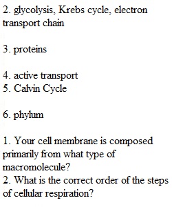 Practice Exam 1